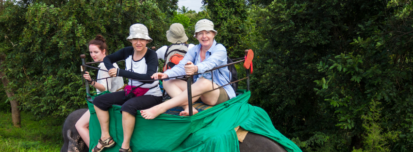 Wild Elephant Safari